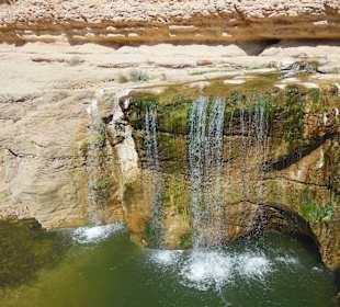 Oaza na Saharze - Sahara Explorer