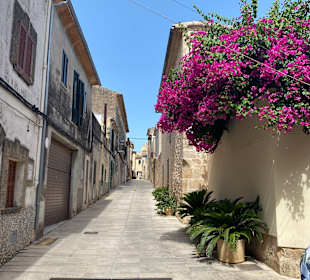 Altstadt Alcudia