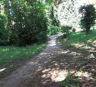 Schneidt'scher Garten