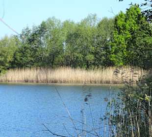 Eindrücke vom Hufeisensee im Wietzepark