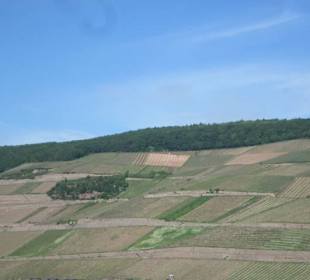 Fähre Bingen-Rüdesheim-Bingen