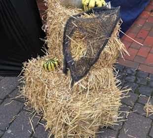 Impressionen vom Gänsemarkt Wildeshausen