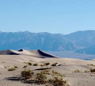 Mesquite Sand Dunes