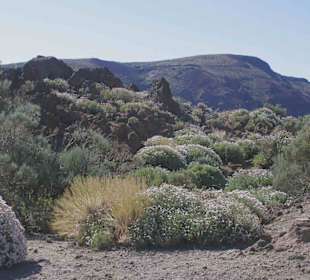 Teide Nationalpark
