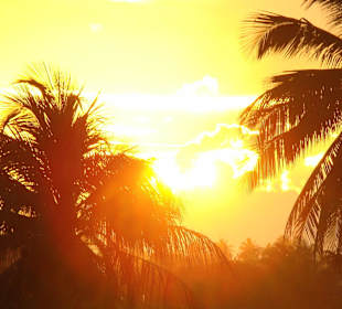 Die Sonne in Praia do Forte