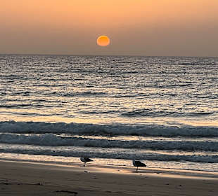 Strand Playa de Esquinzo / Playa de Butihondo