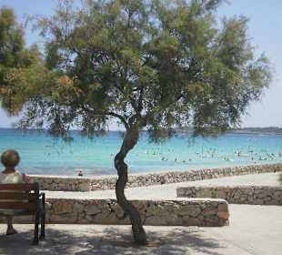 Nochmal Strand - Cala Millor