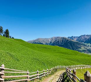 Wandern Sesvennahütte Mals/Malles Venosta