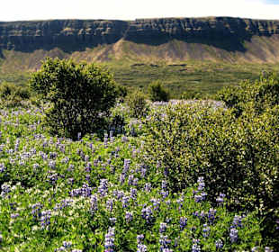 Wanderung zum Glymur