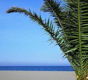 Am Meer in Argelès-Plage