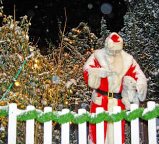 Nbg-Christkindlmarkt2009