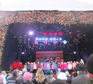 Концерт во 2-е воскресенье Адвента