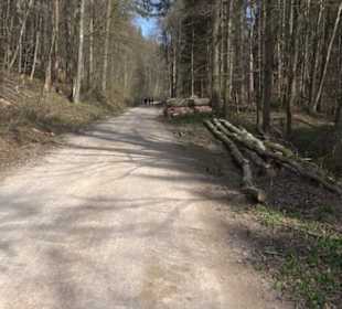 Geologischer Lehrpfad Kirnbachtal