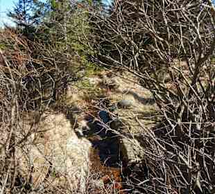 Karkonoski Park Narodowy