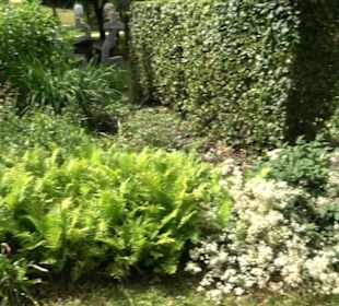 Blühendes Neresheim 2021