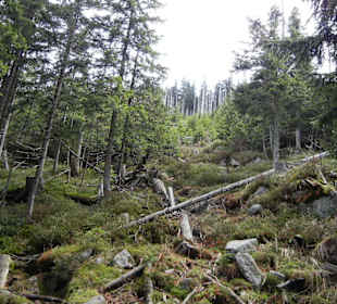 Karkonoski Park Narodowy