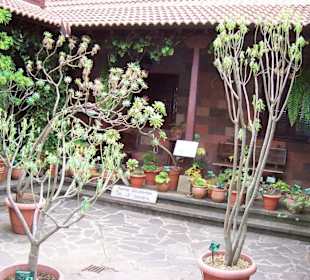 Im Nationalpark von Gomera