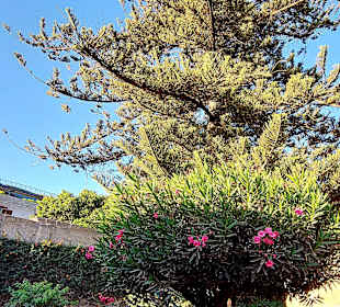 Santa Catalina Kloster