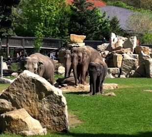 Zoo