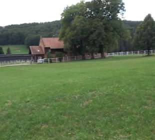 Haupt- und Landgestüt Marbach