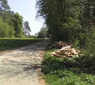 Waldlehrpfad an der Lauter