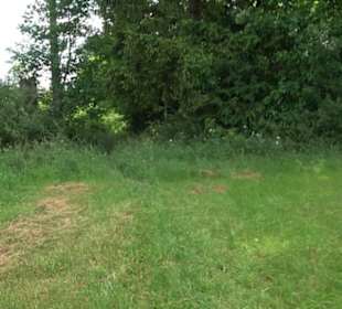 Premiumwanderweg "hochgehackert"