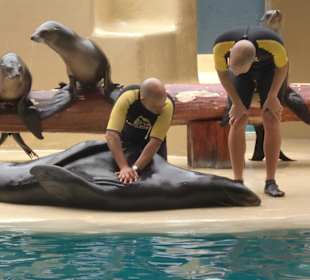 Man, kann der schauspielern, der hat nur keine Lust