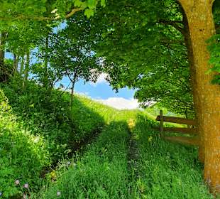 Wandern Matrei in Osttirol