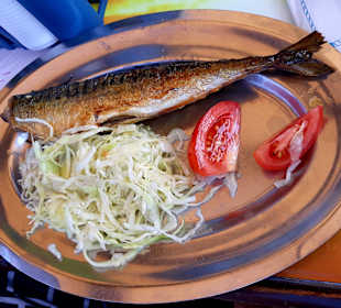 Bootstour Vrsar-Rovinj-Lim Fjord
