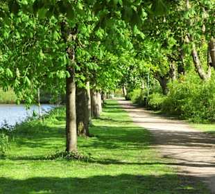 Impressionen vom Rundgang um die Gateteiche