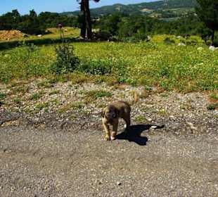 Green Canyon vom Staudamm nach Side