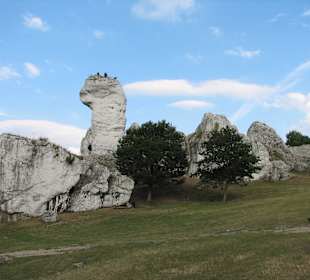 Zamek Wilcza Szczęka - OGRODZIENIEC