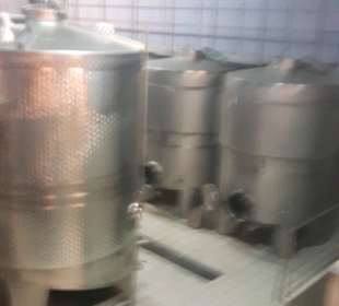 Führung Weinkellerei Boutari