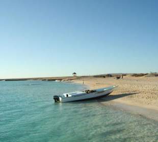 Bootsausflug zur Giftuninsel