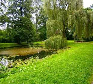 Park pałacu w Pławniowicach