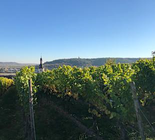 Wandern Rüdesheim am Rhein
