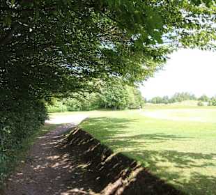 Blick auf die Fairways