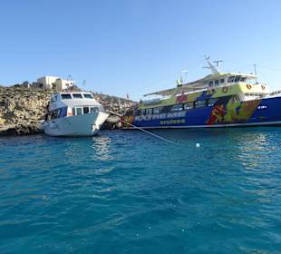 Ausflugsschiffe vor Comino