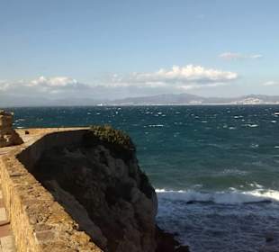 Der Golf, hinten: Roses