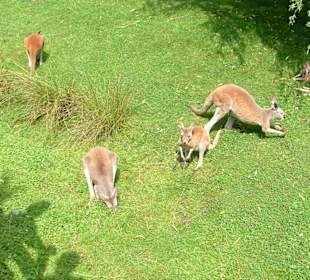 Freizeitpark