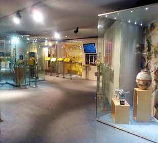 Deutsches Museum Bonn in Bonn