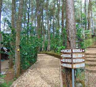 Puncak Becici