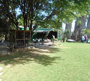 Botanischer Garten Viveiro