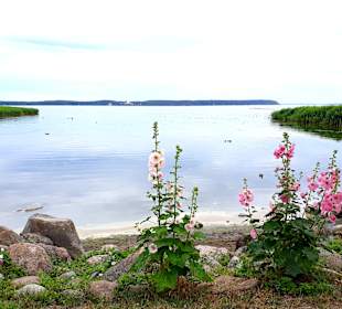 Blick auf die Gnitz vom Hafen Neeberg aus