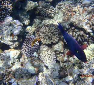 Vedlejší pláž nabízí mnoho