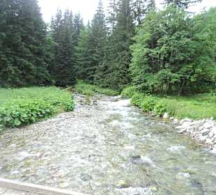 Tatrzański Park Narodowy