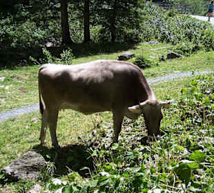 Krimmelské vodopády