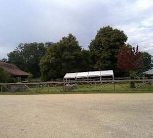 Restaurant Bisonstube Bodenwald