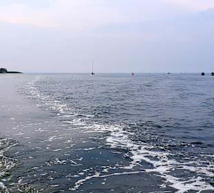Apollo Tagestour zur Greifswalder Oie 