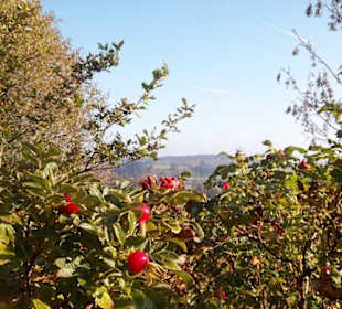 Blick in die Landschaft